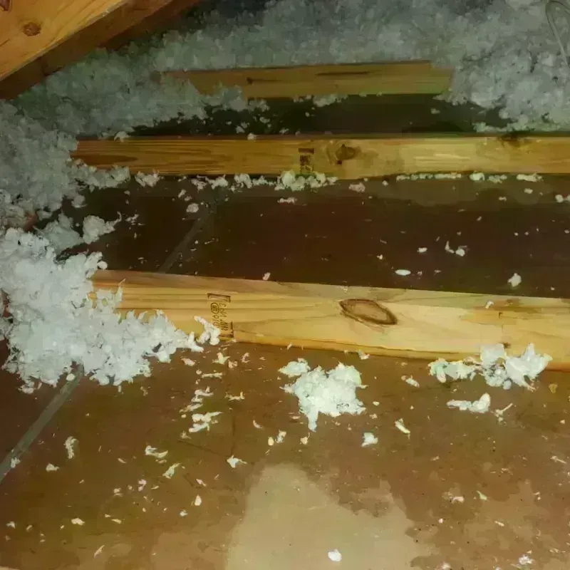 Attic Water Damage in Wallingford, CT